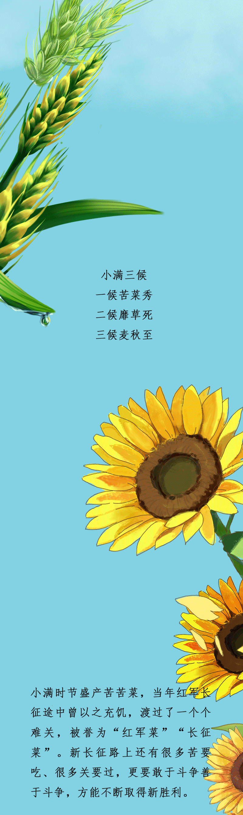 ֻ涯ͼСӯ 嵭