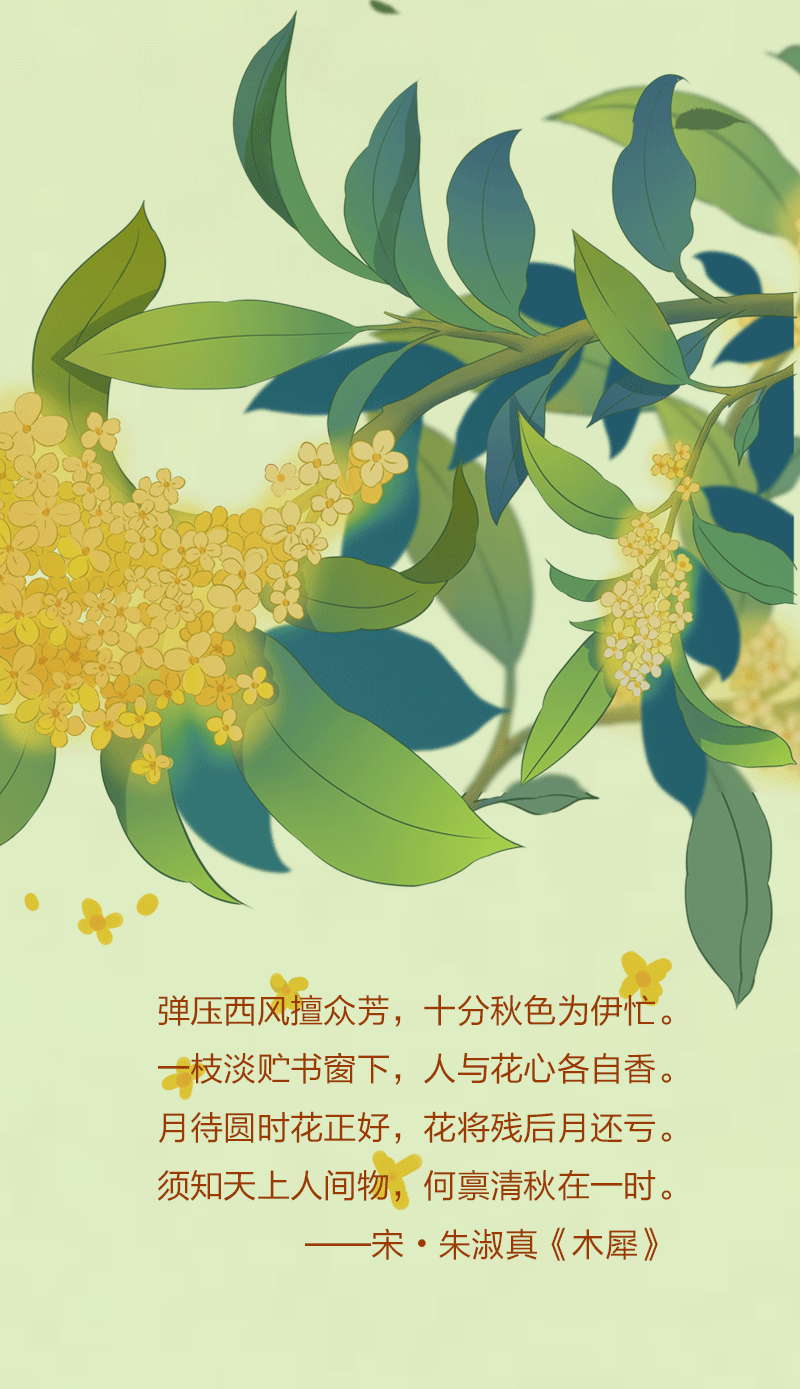ֻ涯ͼӳ  