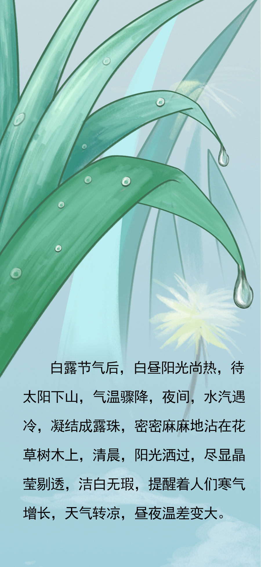 ͼ | ¶