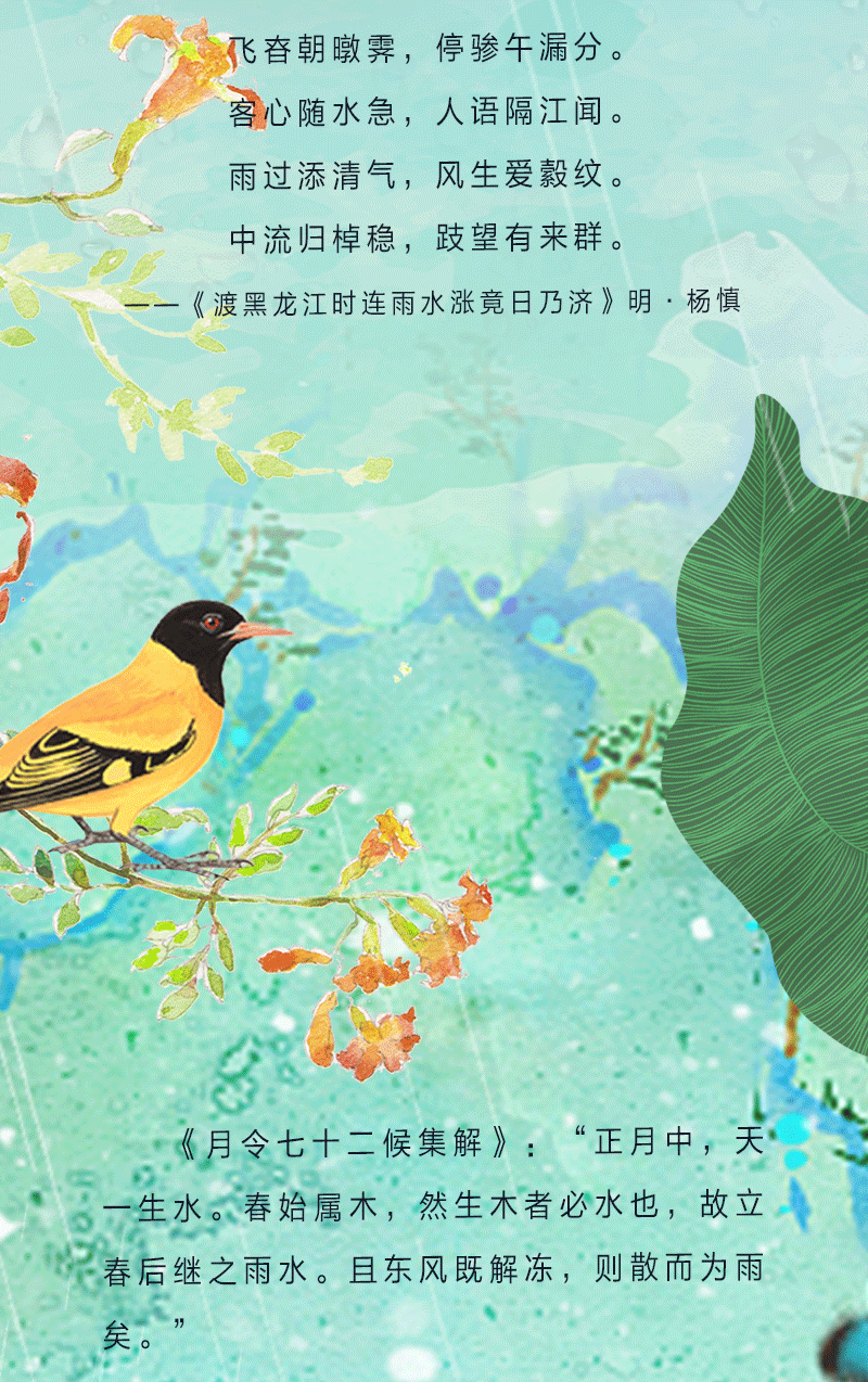 ֻ涯ͼˮ