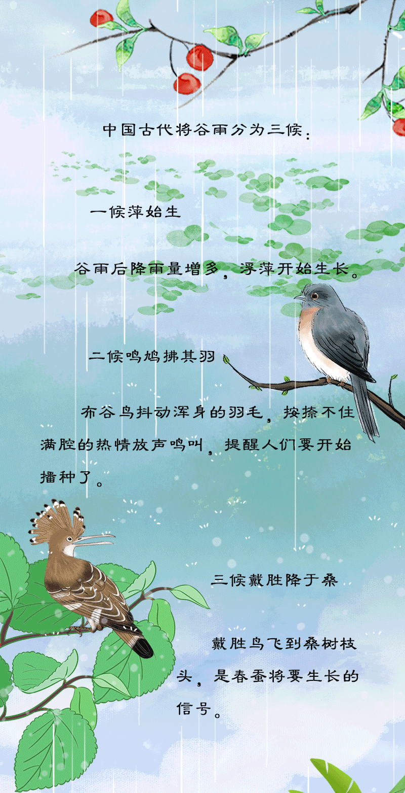 ͼ | ٹ   徻