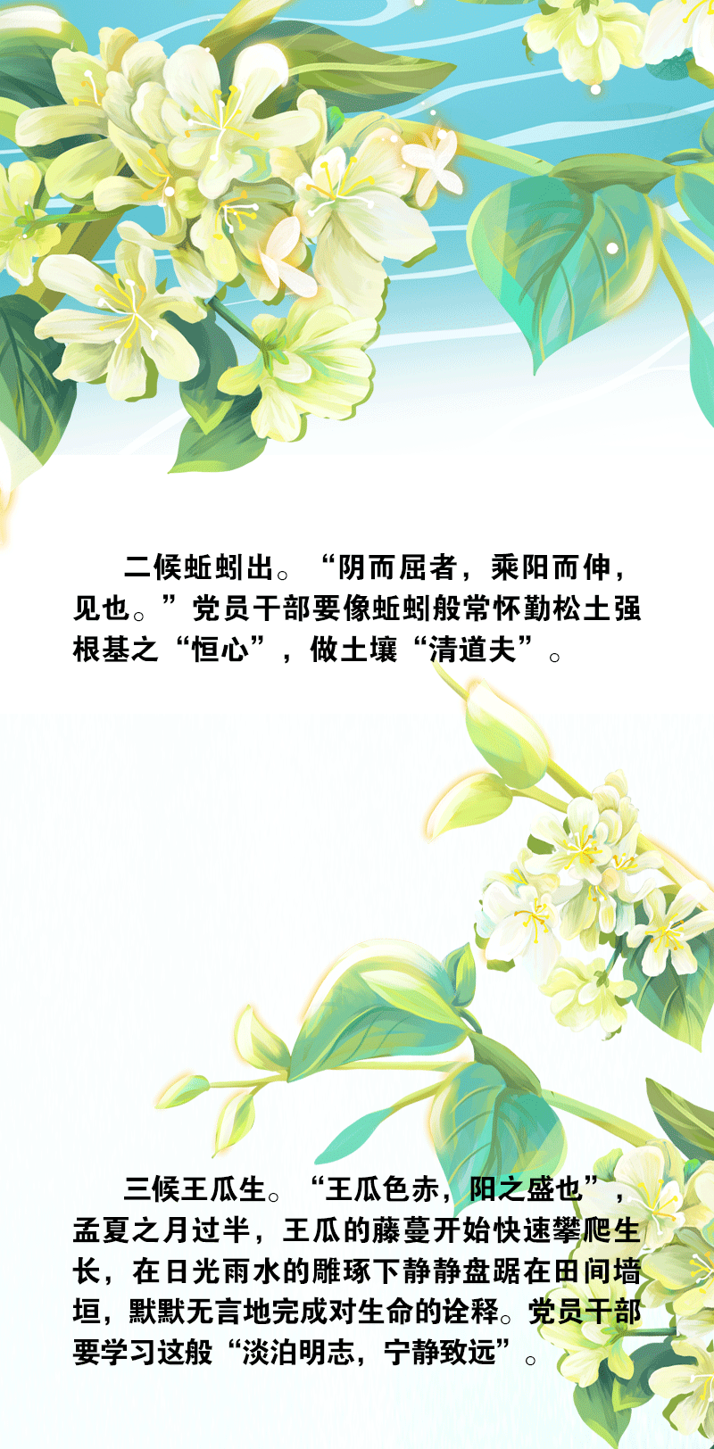 ֻ涯ͼģ׷ 