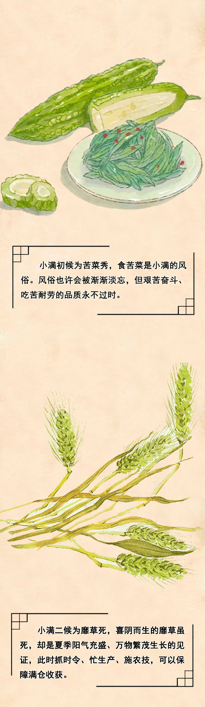 ˵حСӯ