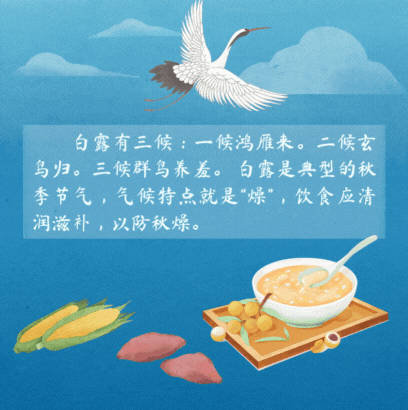 ˵ | ¶¶ӽҹ 