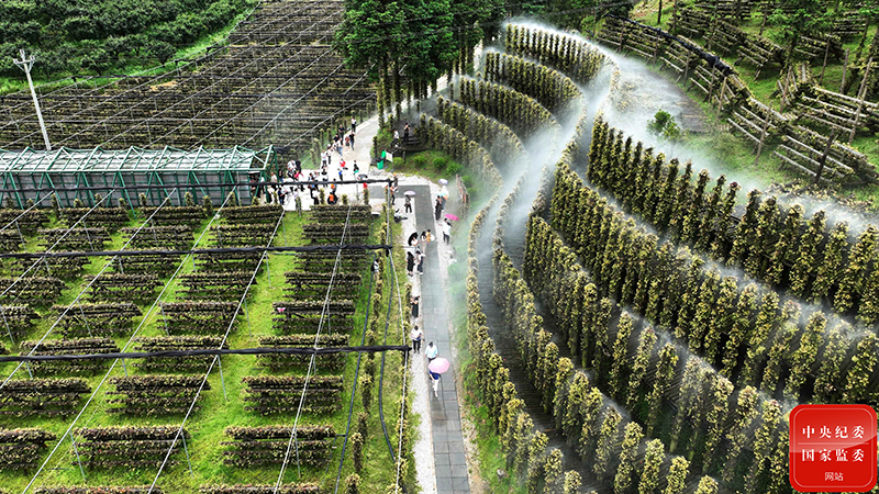 ��ͷح�Ƽ������������