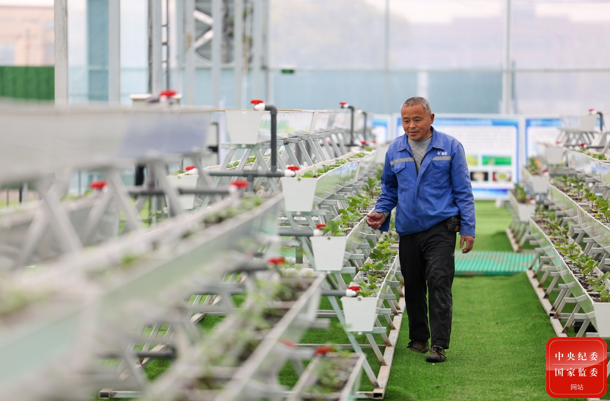 ��ͷح�Ƽ������������