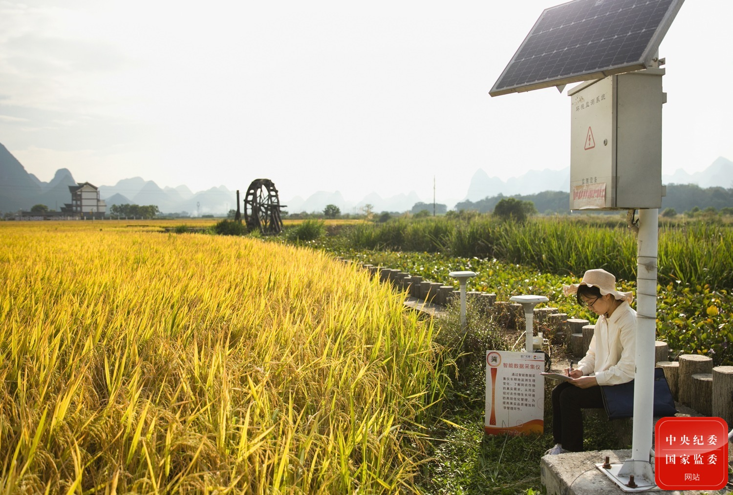 ��ͷح�Ƽ������������