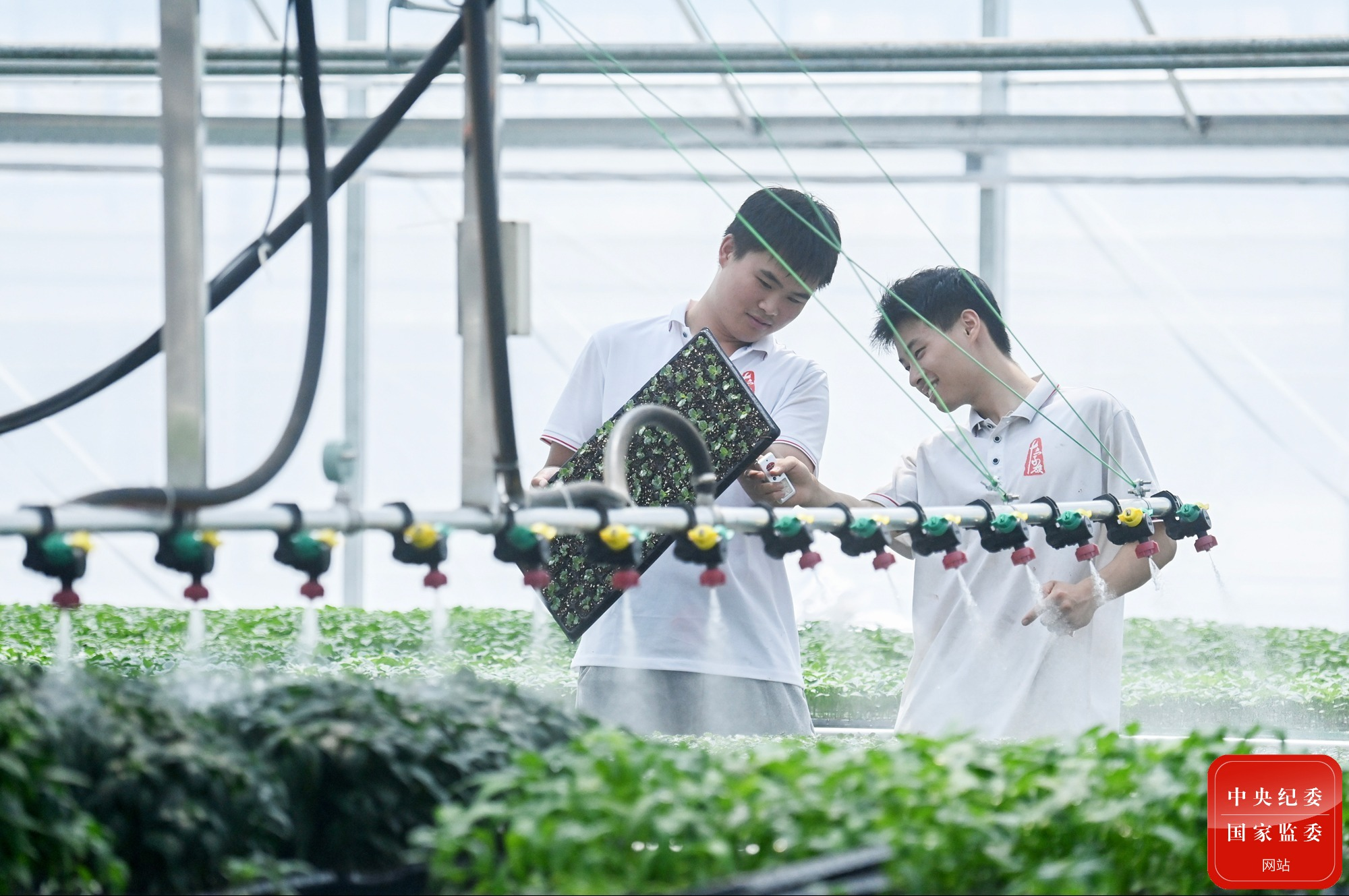 ��ͷح�Ƽ������������