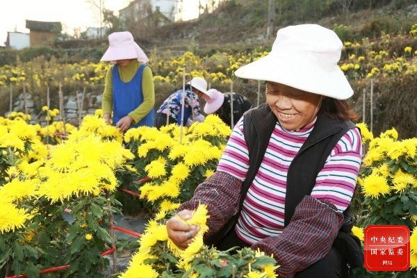 ��ͷ | �žŻ�����