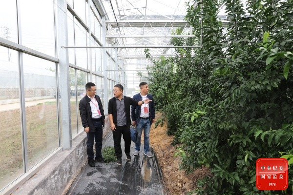 ��ͷ | ר���������ж�