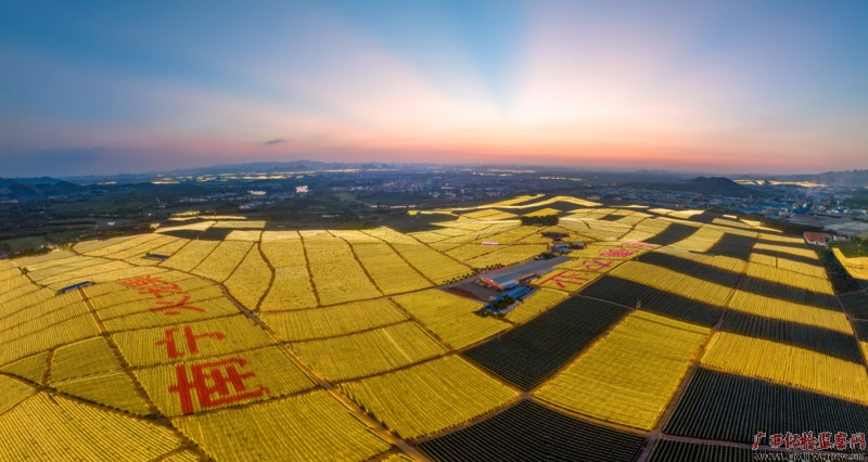 ��ͷح����ʮ��