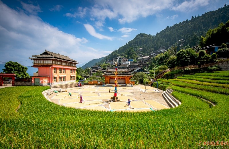 ��ͷ�������� �콥��