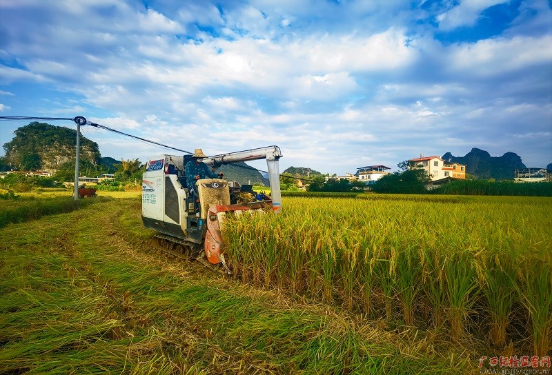 ��ͷ�������� �콥��