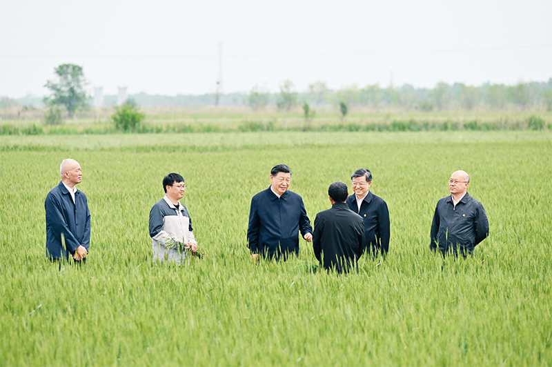 《求是》杂志发表习近平总书记重要文章《切实加强耕地保护 抓好盐碱地综合改造利用》