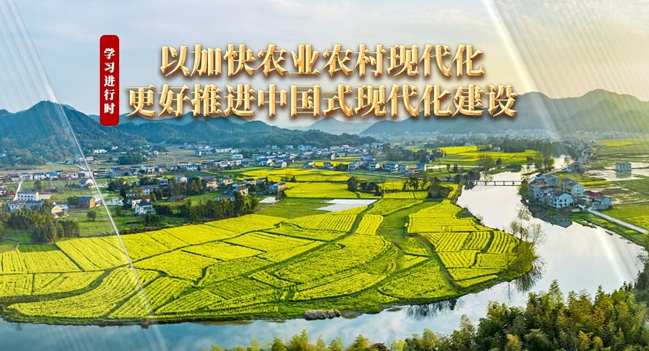 ѧϰʱحԼӿũҵũִƽйʽִ