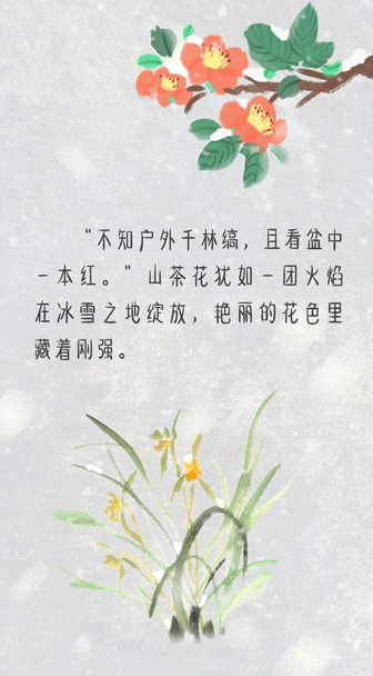 ˵حС  г