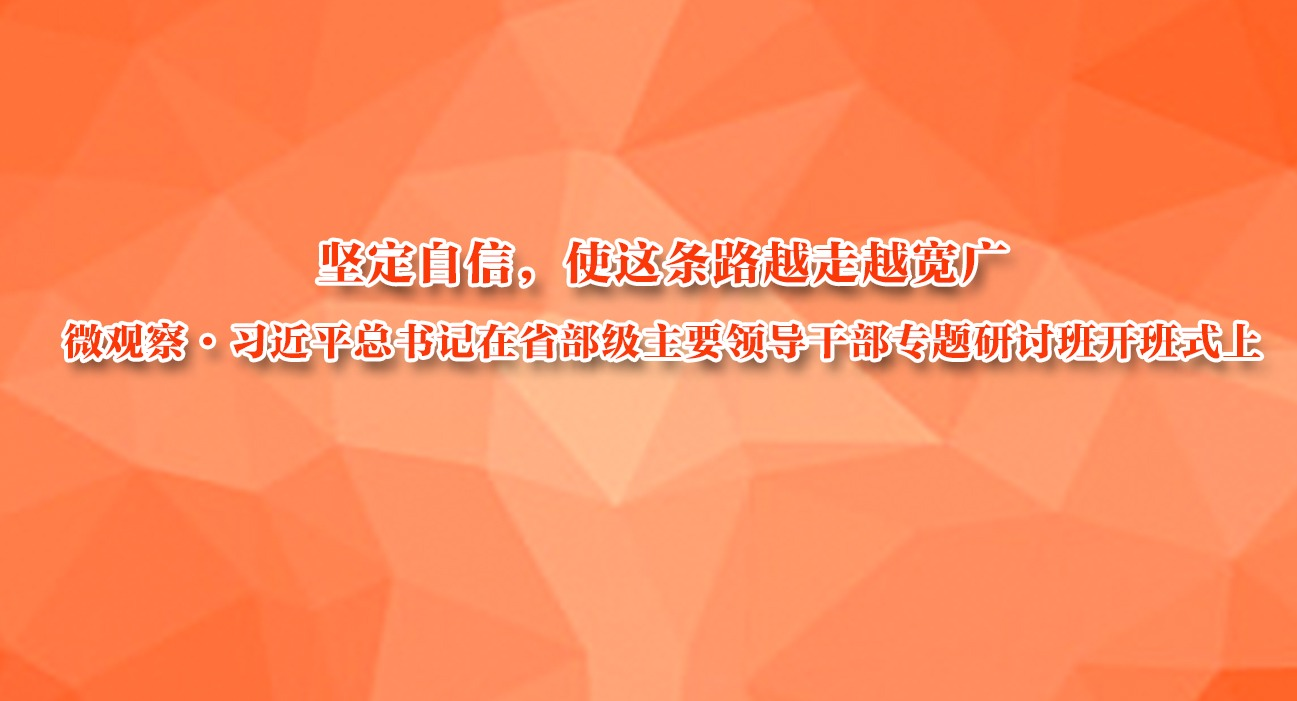 ᶨţʹ·ԽԽ<br>΢۲졤ϰƽʡҪ쵼ɲרְ࿪ʽ