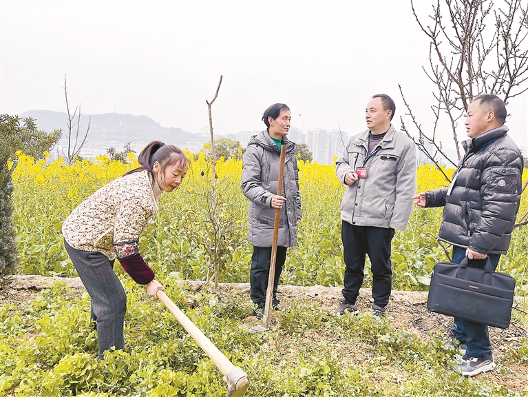 学习贯彻三次全会精神在行动｜多地探索创新监督模式 广听民意查“蝇贪”