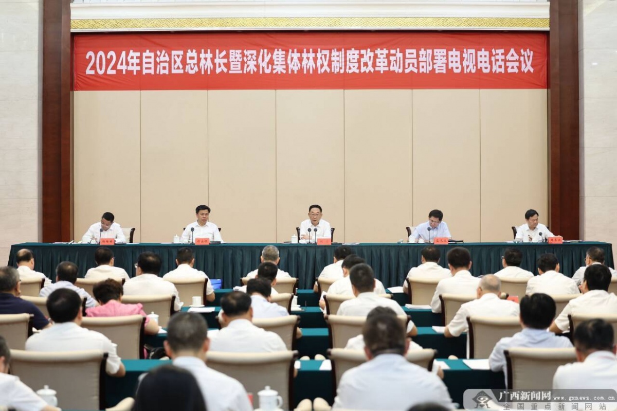 自治区总林长暨深化集体林权制度改革动员部署电视电话会议召开 刘宁出席会议并讲话