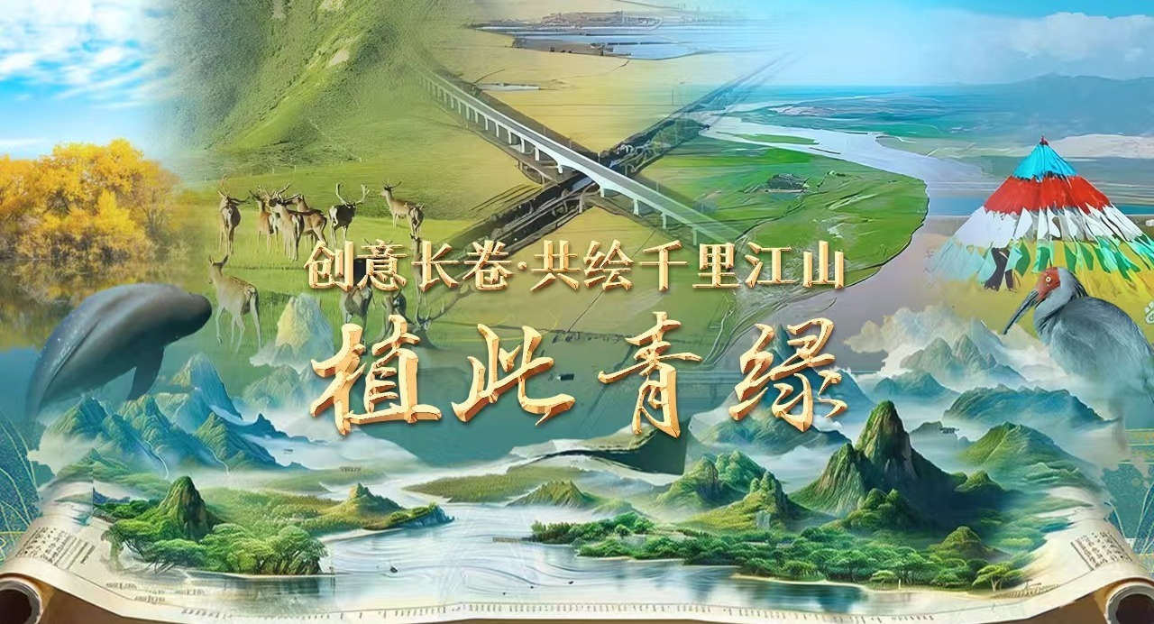 ⳤǧｭɽحֲ