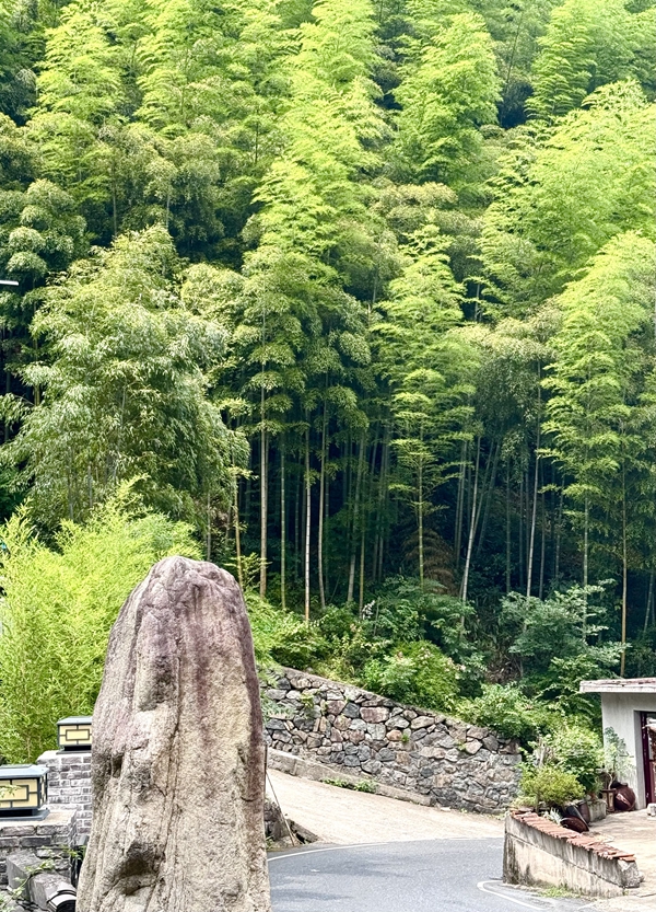 伟大祖国，向新而兴！