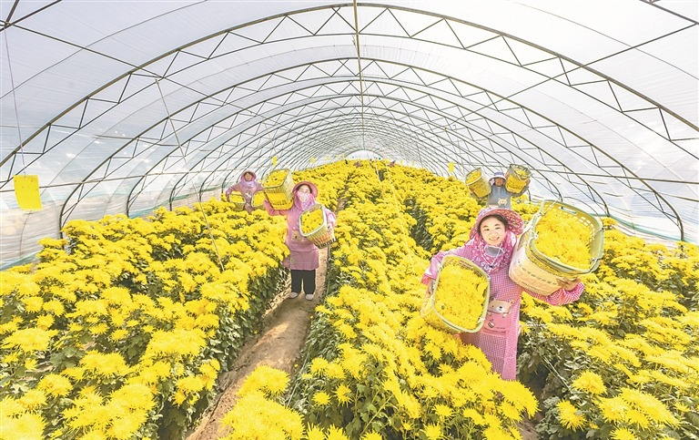 画里有话丨绘就乡村振兴新图景