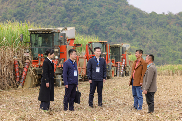 房灵敏：坚定不移把反腐败斗争向纵深推进