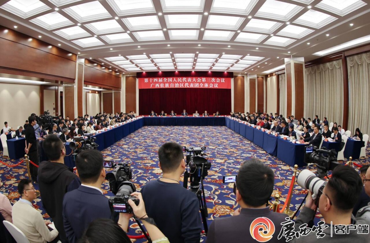 广西代表团举行开放团组活动 陈刚主持 蓝天立鹿心社出席