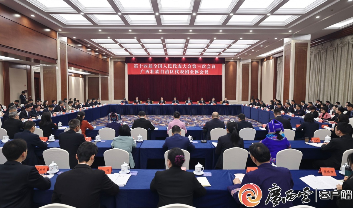 广西代表团审议全国人大常委会工作报告和“两高”工作报告 陈刚蓝天立鹿心社等参加审议