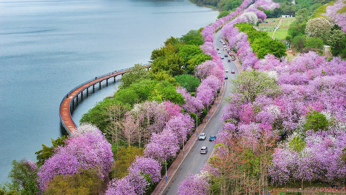 镜头丨壮美广西·四月