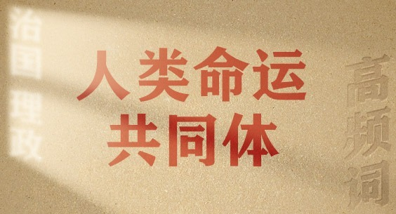 ӸƵѧϰƽ̸ιح˹ͬ