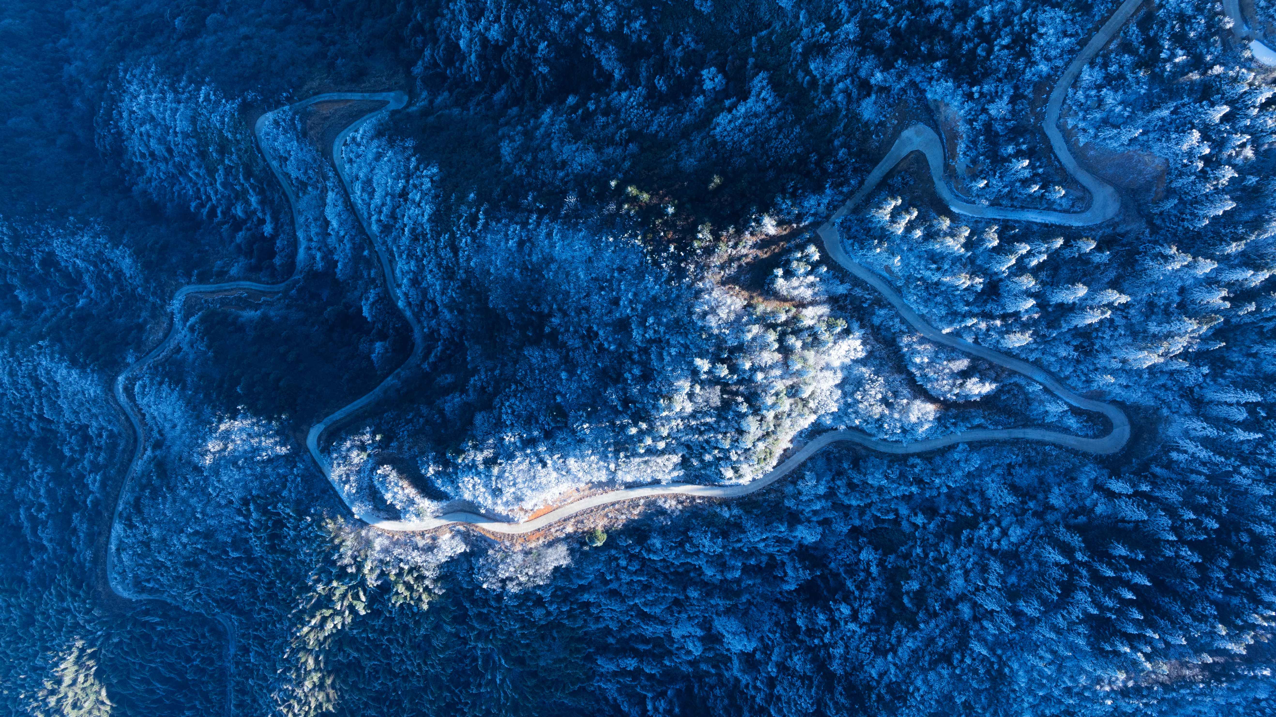 镜头丨大雪至 寒冬始