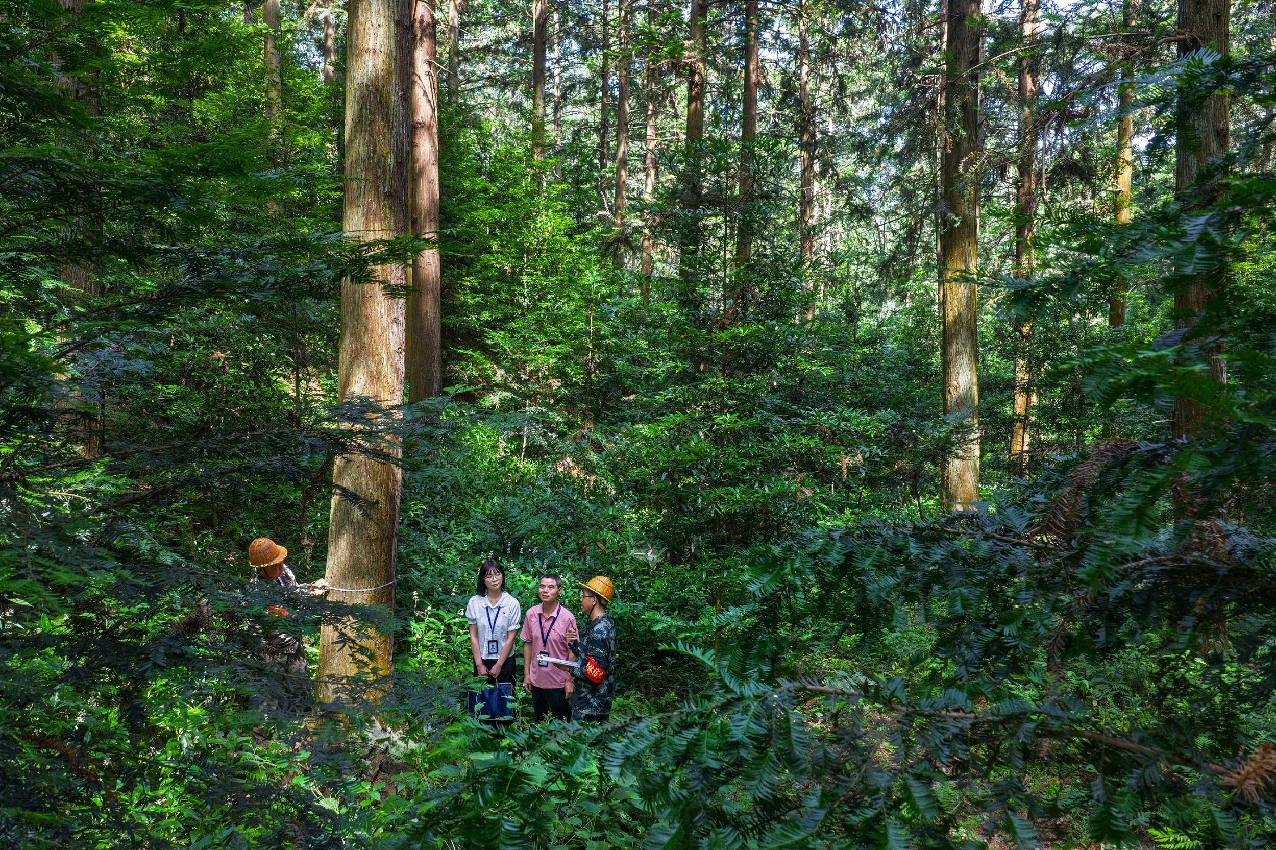 镜头丨监督守护绿水青山