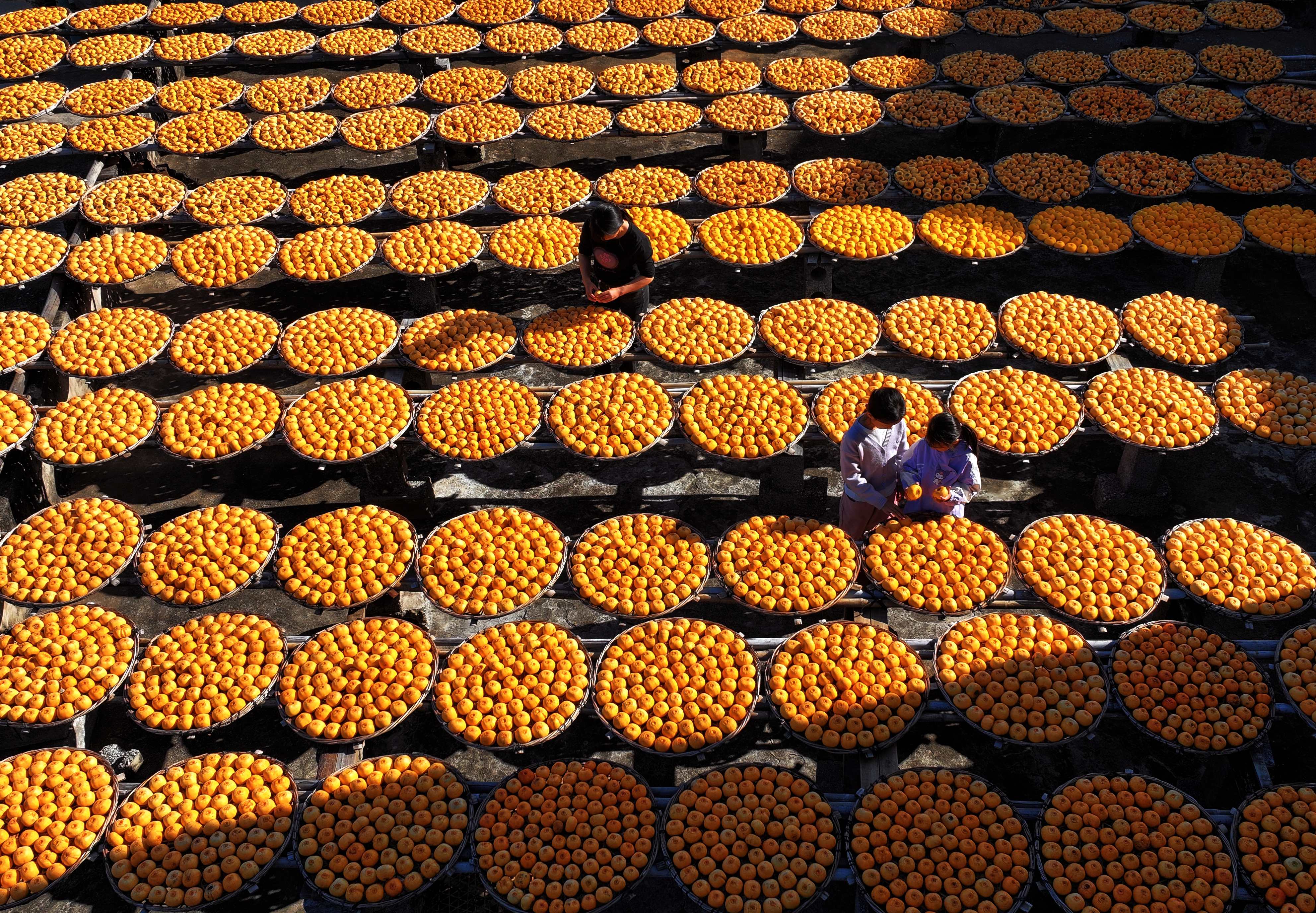 镜头丨大雪至 寒冬始