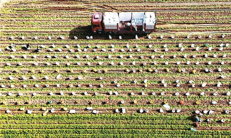 信笺中国丨让中华农业文化遗产“活”起来