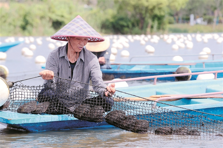 信笺中国丨让中华农业文化遗产“活”起来