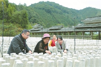 ��ȹ�ע��������չ��ƶ����ɹ�