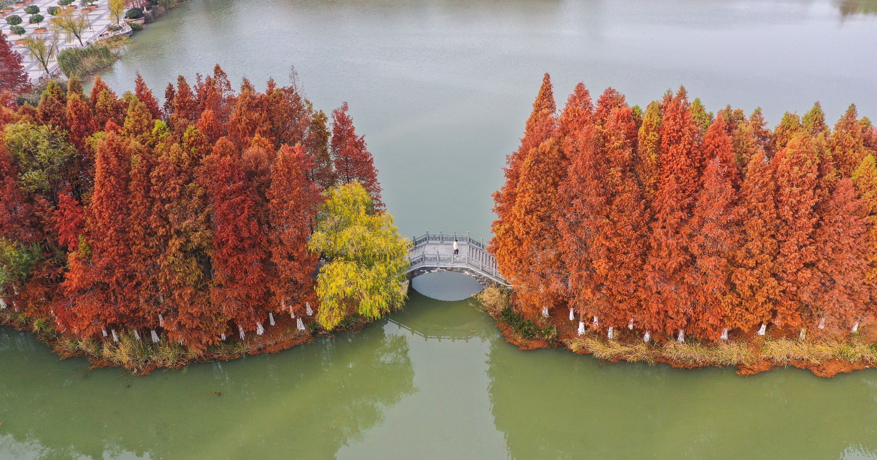 ��ͷح��������ʱ