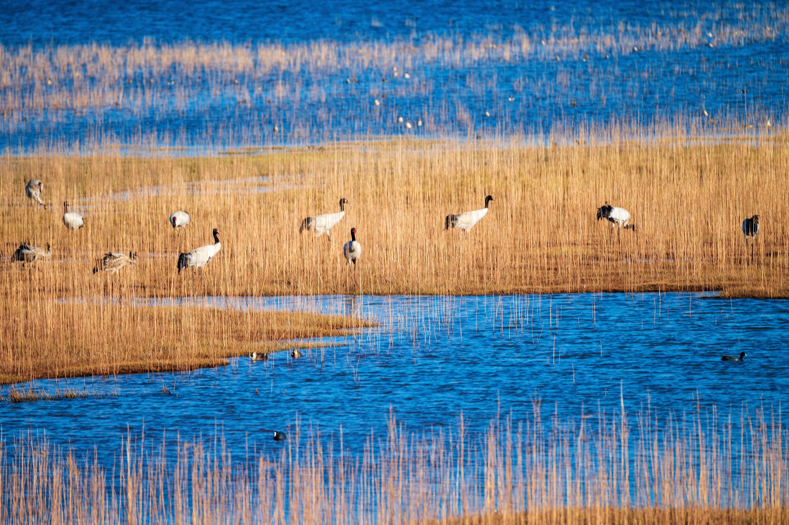 ��ͷح��������ʱ