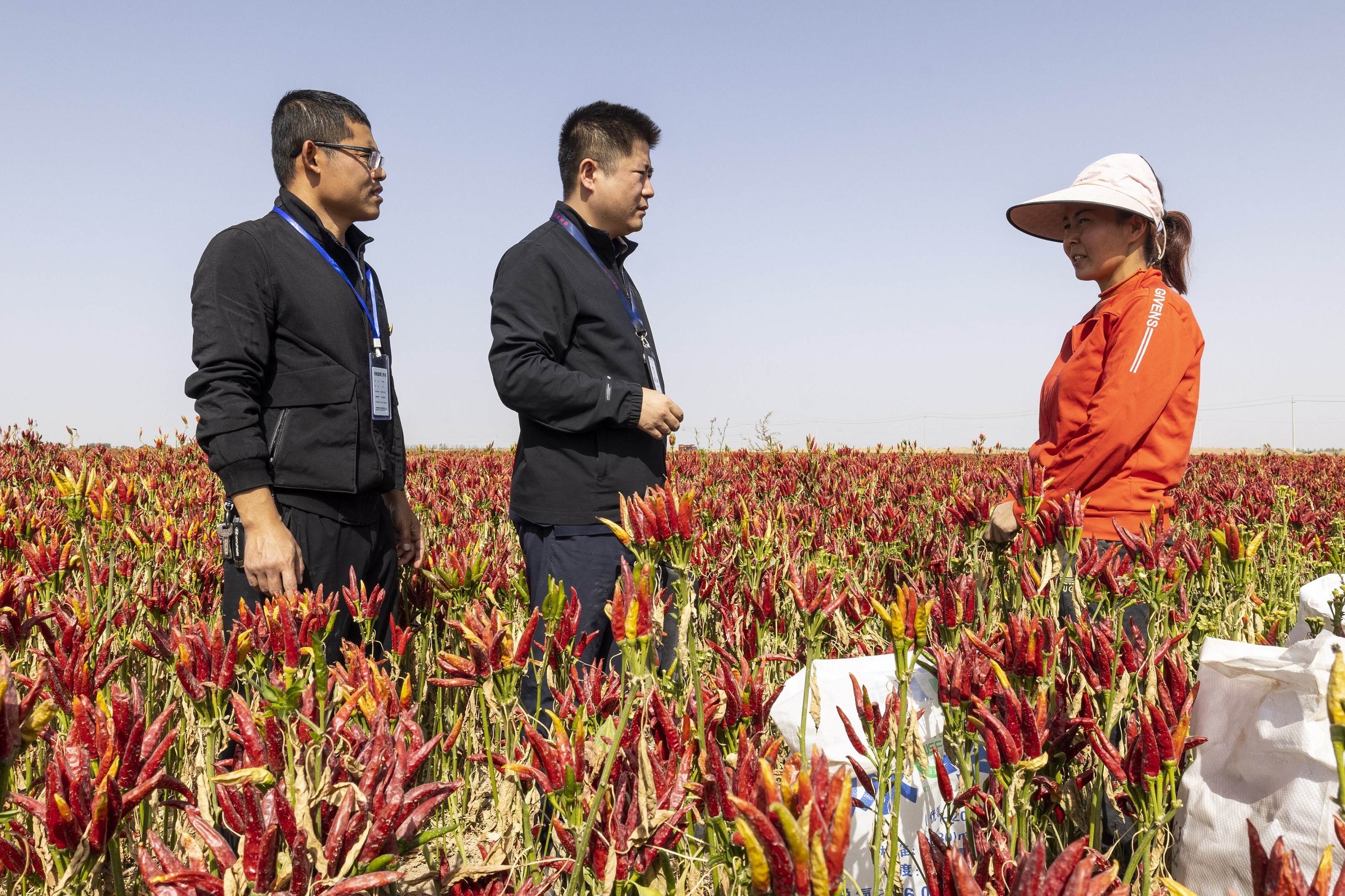 ��ͷحʵսʵѵ�����ְ����