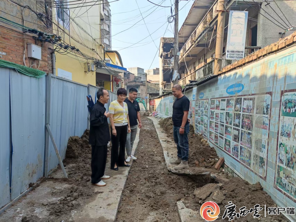 清风拂巷 廉心照人——记玉林市玉州区玉城街道南观社区党委书记、居委会主任周霜