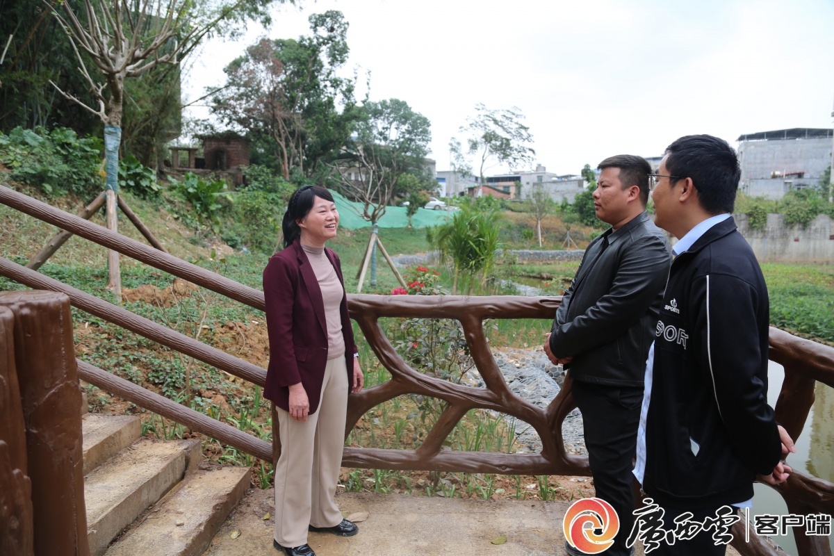 以“勤”破治水难题,以“廉”守环保底线——记防城港市生态环境局水生态环境科科长陈娇桂