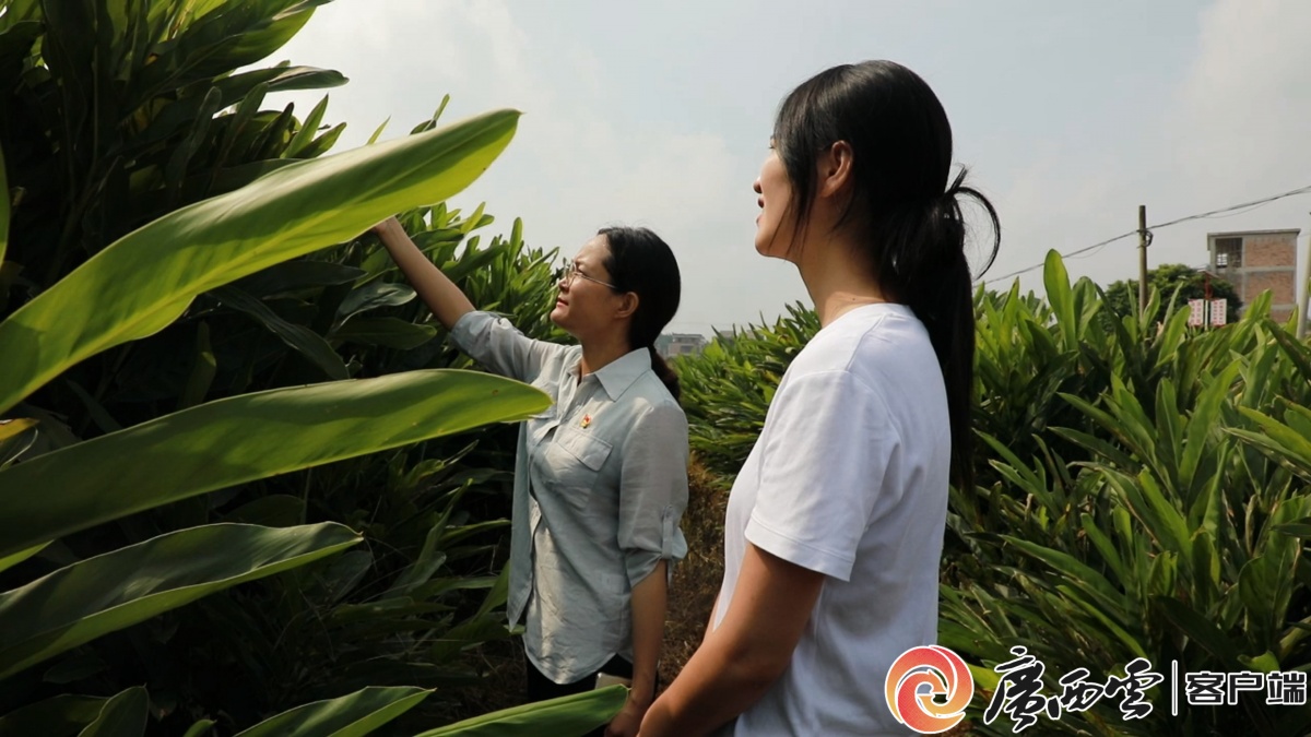 �������� �Ը��˴塪���ǹ�ƽ�н�������ʹ嵳��֧��ǡ���ί������л��÷