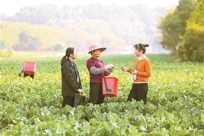 �����׸������ո��ؼͼ�����ع������� ê��Ŀ������ ���ƶ��Ͽ��¾�