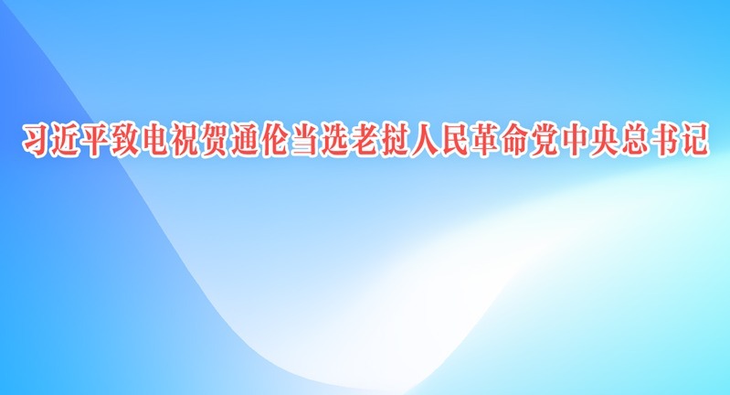 ϰ��ƽ�µ�ף��ͨ�׵�ѡ����������������������