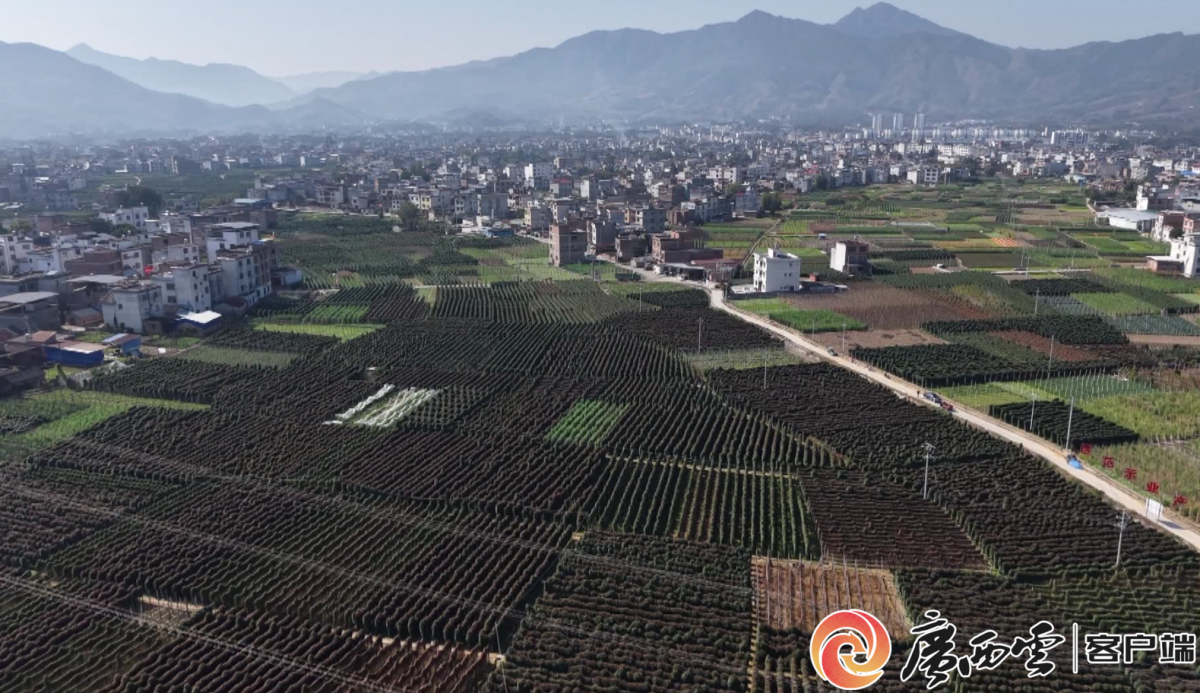 ������������ġ�����˫��嵳֧����ǡ���ί�����������