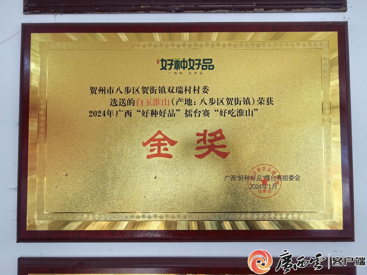 ������������ġ�����˫��嵳֧����ǡ���ί�����������