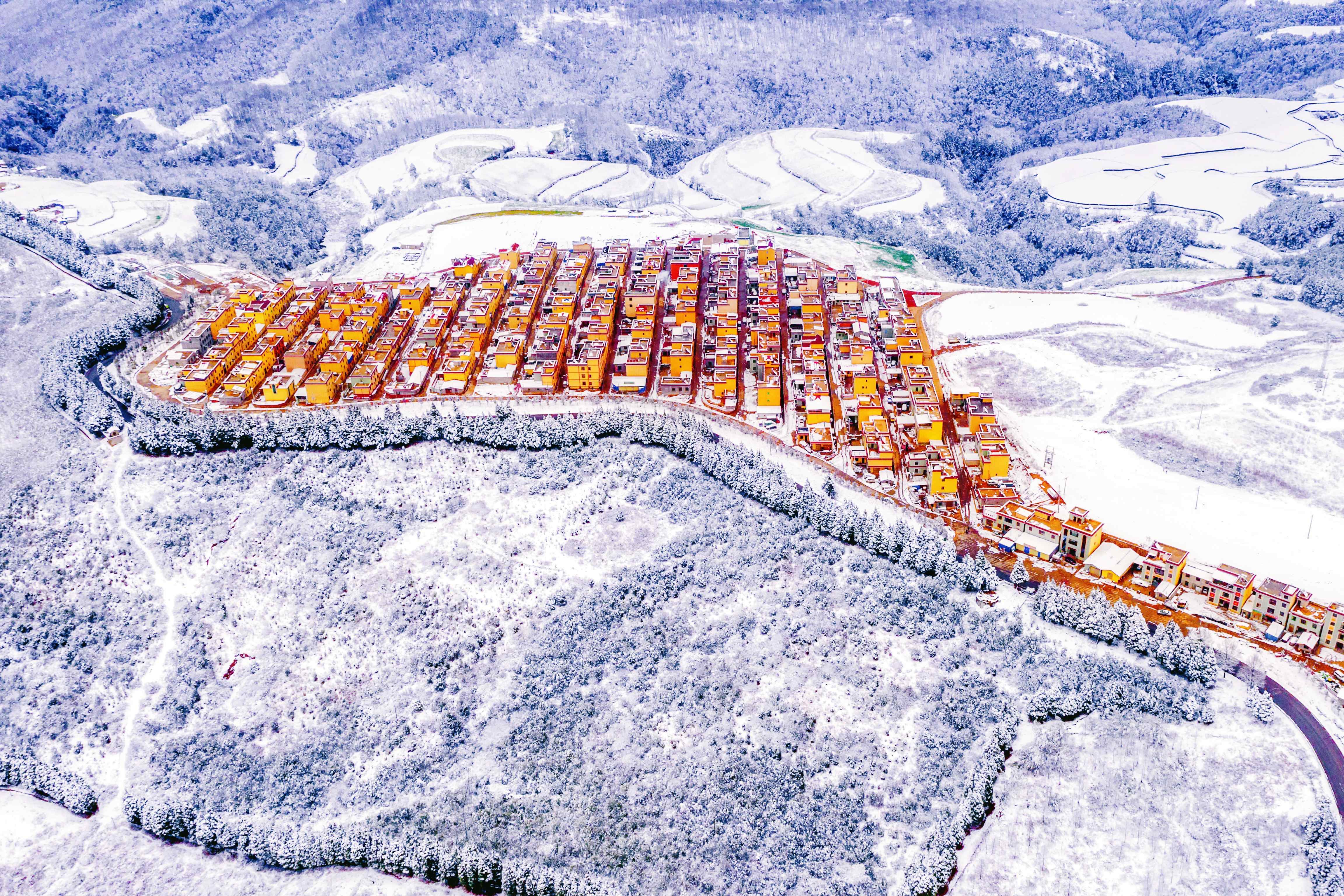 ��ͷح���������������