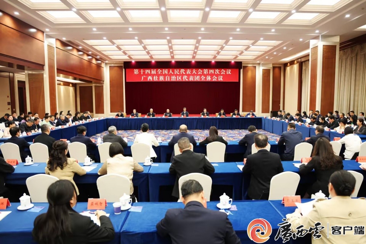 十四届全国人大四次会议广西代表团召开第一次全体会议 推选陈刚为广西代表团团长 韦韬为副团长
