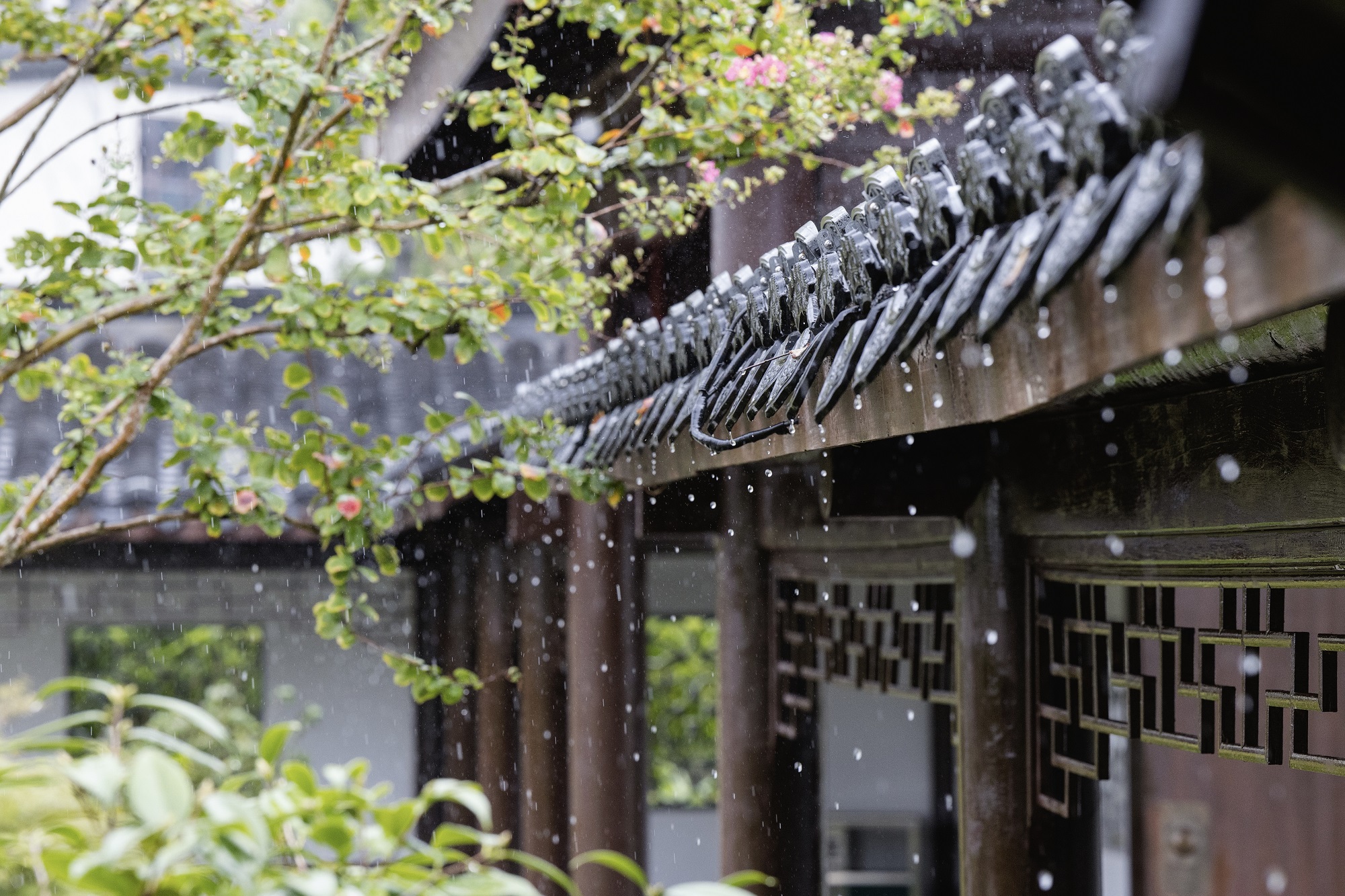 ��ͷح���ݴ���ʼ